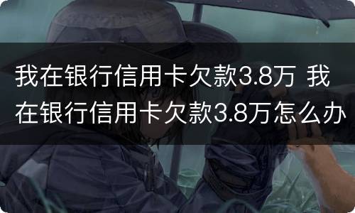 我在银行信用卡欠款3.8万 我在银行信用卡欠款3.8万怎么办