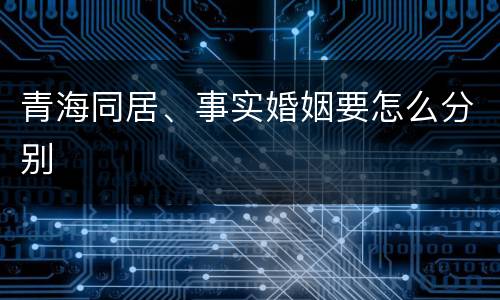 青海同居、事实婚姻要怎么分别