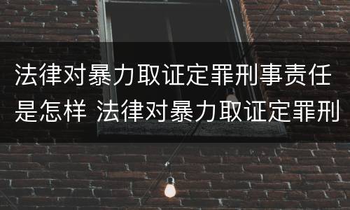 法律对暴力取证定罪刑事责任是怎样 法律对暴力取证定罪刑事责任是怎样认定的