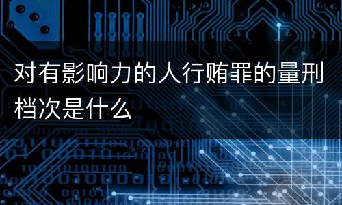 对有影响力的人行贿罪的量刑档次是什么