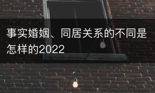 事实婚姻、同居关系的不同是怎样的2022