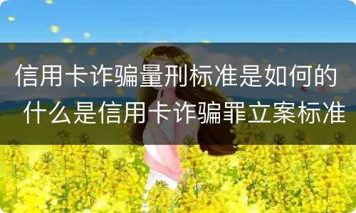 信用卡诈骗量刑标准是如何的 什么是信用卡诈骗罪立案标准