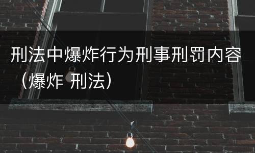 刑法中爆炸行为刑事刑罚内容（爆炸 刑法）