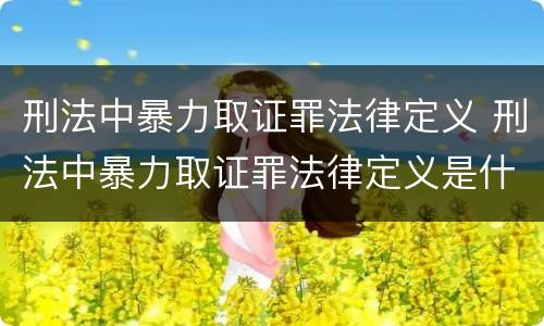 刑法中暴力取证罪法律定义 刑法中暴力取证罪法律定义是什么