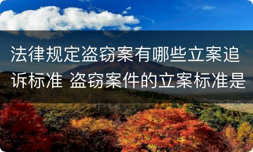 法律规定盗窃案有哪些立案追诉标准 盗窃案件的立案标准是多少