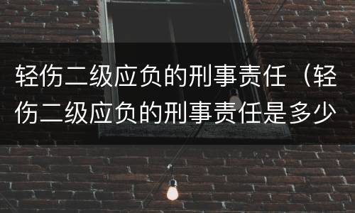 轻伤二级应负的刑事责任（轻伤二级应负的刑事责任是多少）