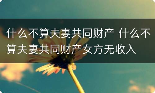 什么不算夫妻共同财产 什么不算夫妻共同财产女方无收入