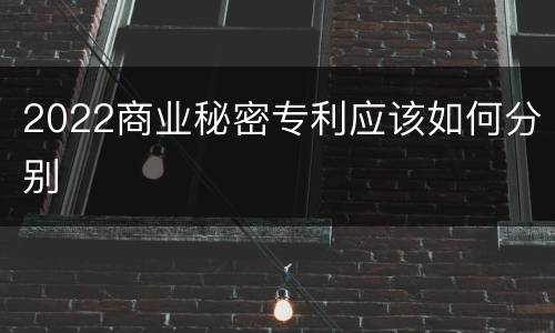 2022商业秘密专利应该如何分别
