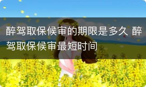 醉驾取保候审的期限是多久 醉驾取保候审最短时间
