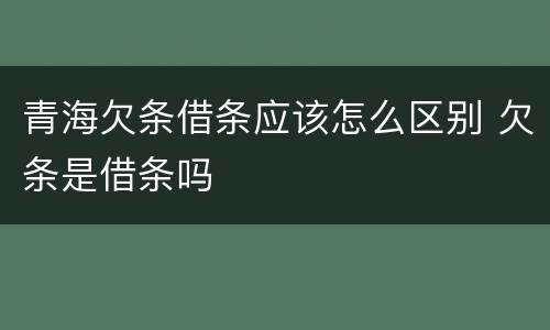 青海欠条借条应该怎么区别 欠条是借条吗