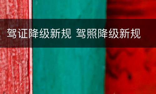 驾证降级新规 驾照降级新规