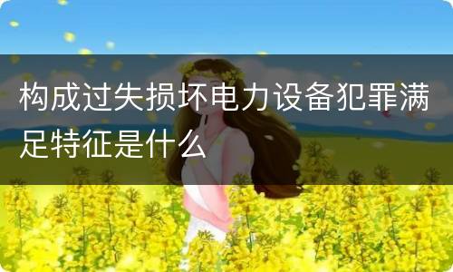 构成过失损坏电力设备犯罪满足特征是什么