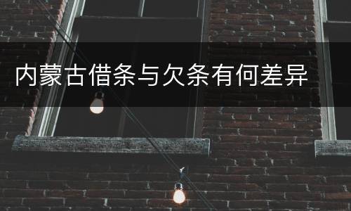 内蒙古借条与欠条有何差异