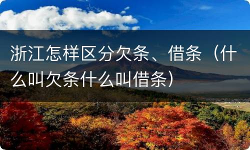 浙江怎样区分欠条、借条（什么叫欠条什么叫借条）