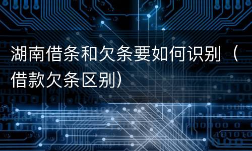 湖南借条和欠条要如何识别（借款欠条区别）
