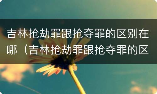 吉林抢劫罪跟抢夺罪的区别在哪（吉林抢劫罪跟抢夺罪的区别在哪儿）