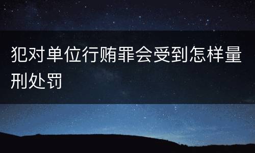 犯对单位行贿罪会受到怎样量刑处罚