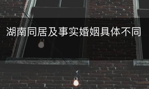 湖南同居及事实婚姻具体不同