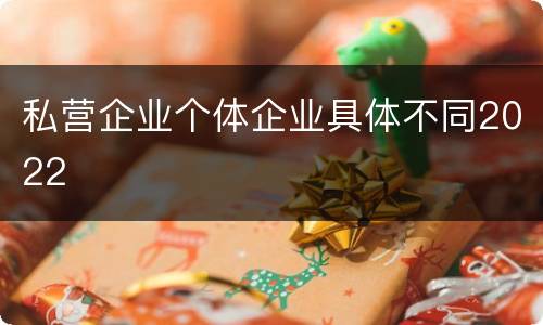 私营企业个体企业具体不同2022