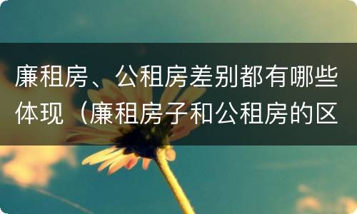 廉租房、公租房差别都有哪些体现（廉租房子和公租房的区别）