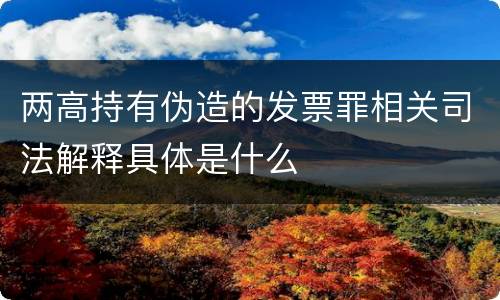 两高持有伪造的发票罪相关司法解释具体是什么
