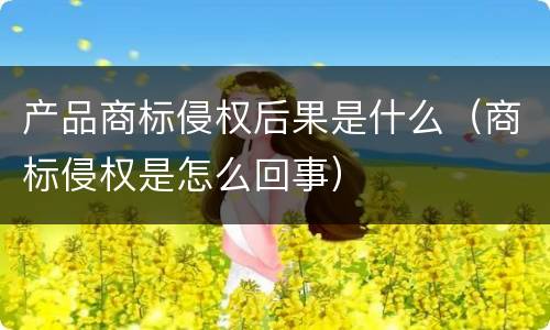 产品商标侵权后果是什么（商标侵权是怎么回事）