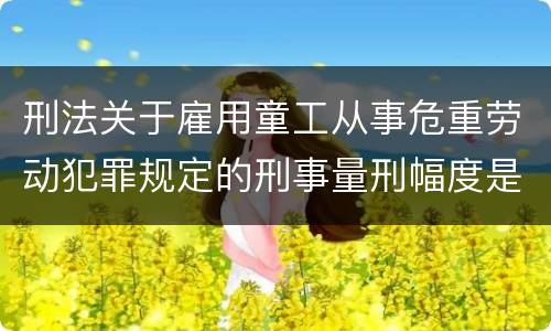 刑法关于雇用童工从事危重劳动犯罪规定的刑事量刑幅度是怎样的