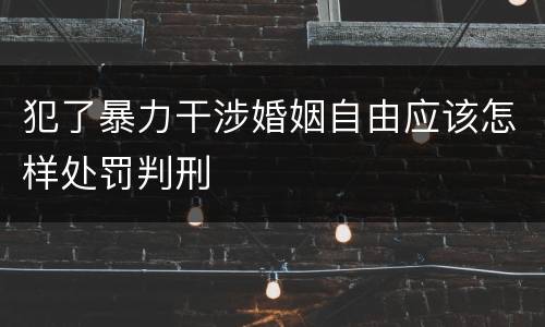 犯了暴力干涉婚姻自由应该怎样处罚判刑