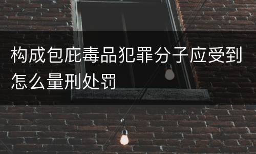 构成包庇毒品犯罪分子应受到怎么量刑处罚