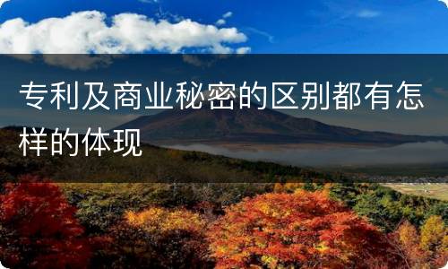 专利及商业秘密的区别都有怎样的体现