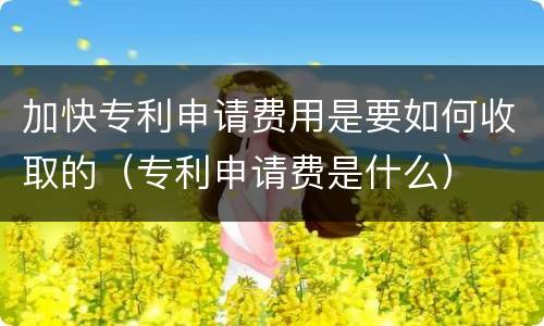 加快专利申请费用是要如何收取的（专利申请费是什么）