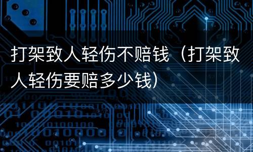 打架致人轻伤不赔钱（打架致人轻伤要赔多少钱）