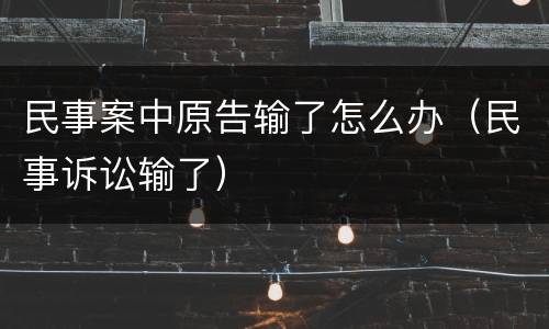 民事案中原告输了怎么办（民事诉讼输了）