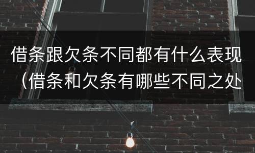 借条跟欠条不同都有什么表现（借条和欠条有哪些不同之处）