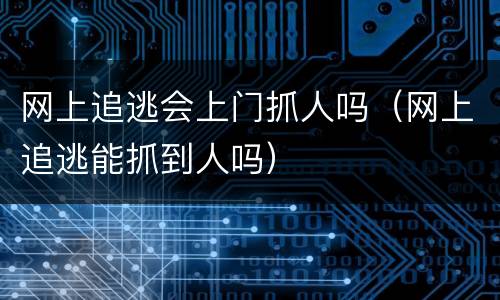 网上追逃会上门抓人吗（网上追逃能抓到人吗）
