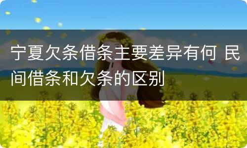 宁夏欠条借条主要差异有何 民间借条和欠条的区别