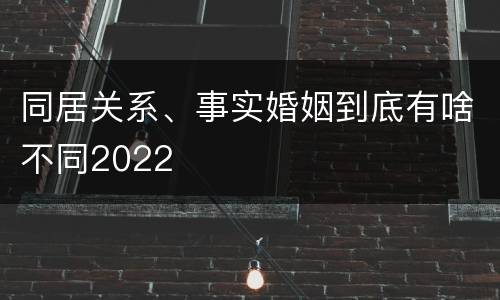 同居关系、事实婚姻到底有啥不同2022