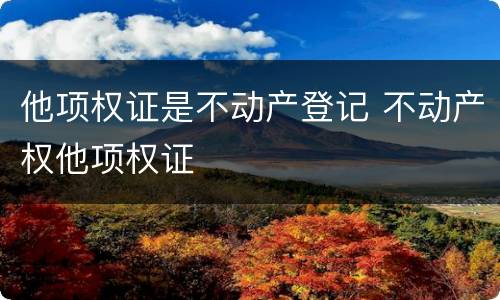 他项权证是不动产登记 不动产权他项权证
