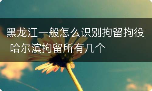 黑龙江一般怎么识别拘留拘役 哈尔滨拘留所有几个