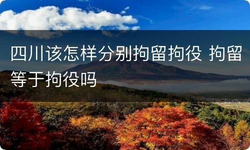 四川该怎样分别拘留拘役 拘留等于拘役吗