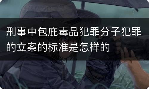 刑事中包庇毒品犯罪分子犯罪的立案的标准是怎样的
