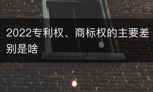 2022专利权、商标权的主要差别是啥