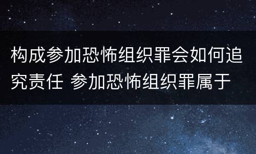 构成参加恐怖组织罪会如何追究责任 参加恐怖组织罪属于