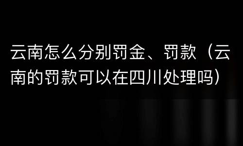 云南怎么分别罚金、罚款（云南的罚款可以在四川处理吗）