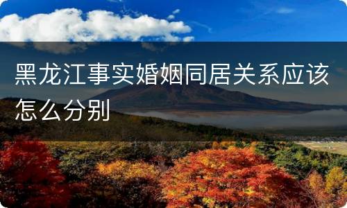 黑龙江事实婚姻同居关系应该怎么分别