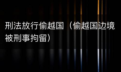 刑法放行偷越国（偷越国边境被刑事拘留）
