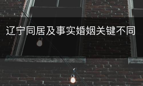 辽宁同居及事实婚姻关键不同