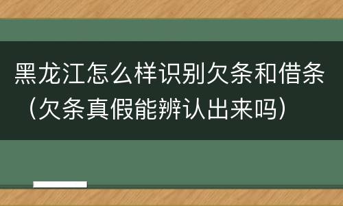 黑龙江怎么样识别欠条和借条（欠条真假能辨认出来吗）