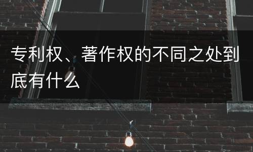 专利权、著作权的不同之处到底有什么