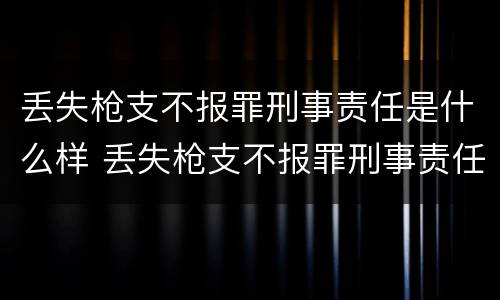 丢失枪支不报罪刑事责任是什么样 丢失枪支不报罪刑事责任是什么样的